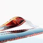 trailerloop184